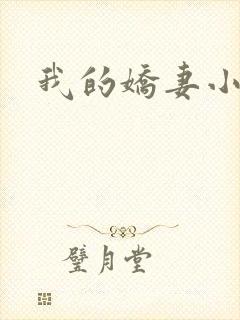 我的娇妻小说