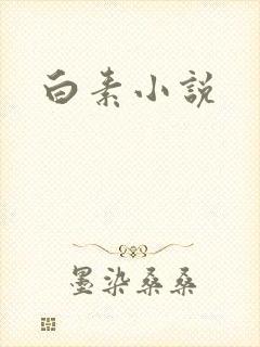白素小说