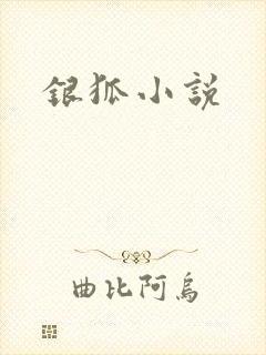 银狐小说