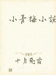小青梅小说