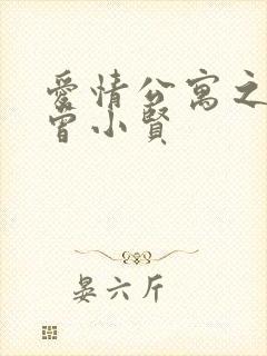 爱情公寓之极品曾小贤