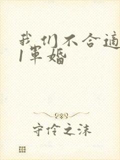 我们不合适1v1军婚
