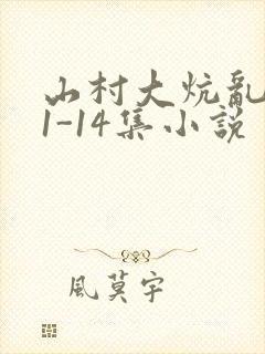 山村大炕乱肉续1-14集小说