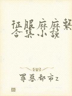 征服麻麻系列大合集小说