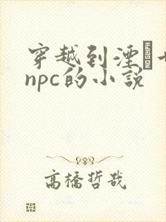 穿越到湮婸世界npc的小说