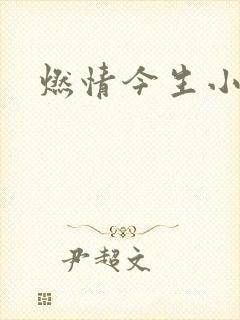 燃情今生小说