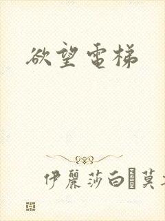 欲望电梯