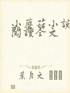 小蘑菇小说免费阅读全文