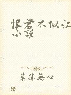 恨君不似江楼月小说