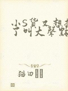 小S货又想挨C了叫大声点小