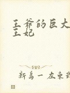 王爷的巨大进入王妃