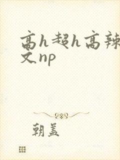 高h超h高辣h文np