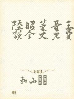 陆昭菱晋王的小说全文免费阅读