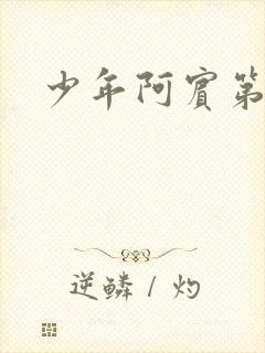 少年阿宾第二部