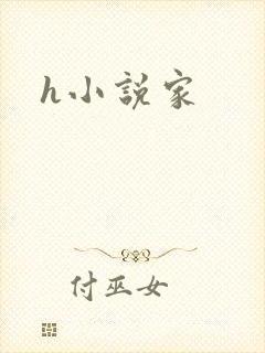 h小说家