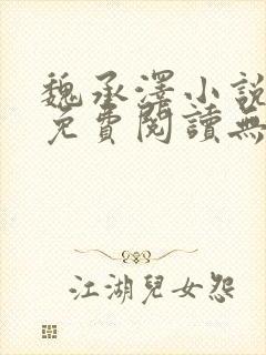 魏承泽小说全文免费阅读无弹窗笔趣