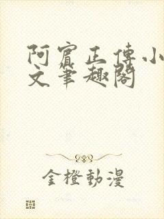 阿宾正传小说全文笔趣阁