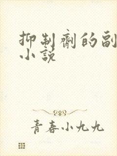 抑制剂的副作用小说