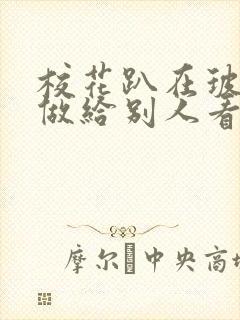 校花趴在玻璃窗做给别人看的作文