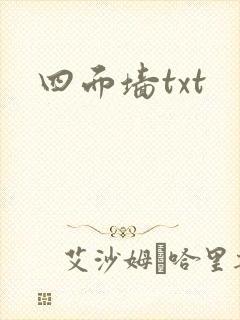四面墙txt