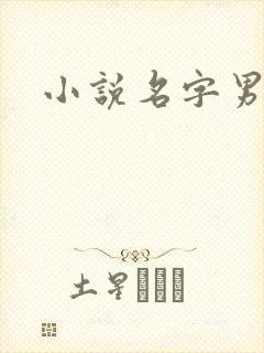 小说名字男生
