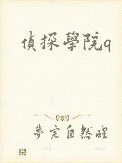 侦探学院q