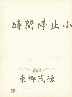 时间停止小说
