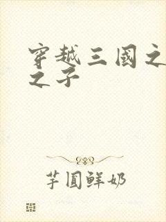 穿越三国之袁绍之子