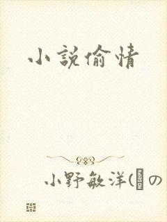 小说偷情