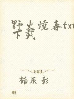 野火烧春txt下载