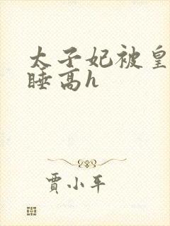 太子妃被皇上强睡高h