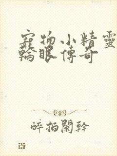 宠物小精灵之写轮眼传奇