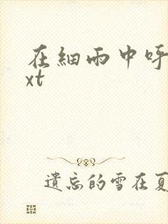 在细雨中呼喊txt