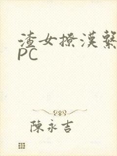 渣女撩汉系统NPC