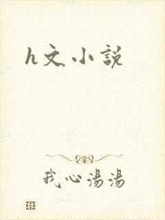 h文小说