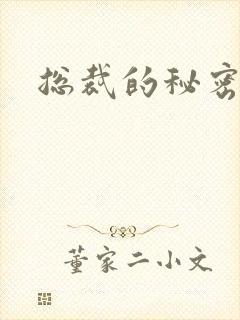 总裁的秘密情人