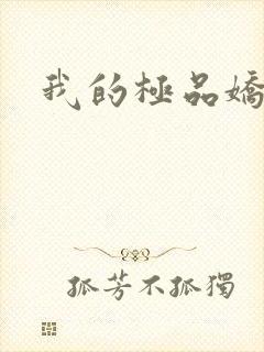 我的极品娇妻