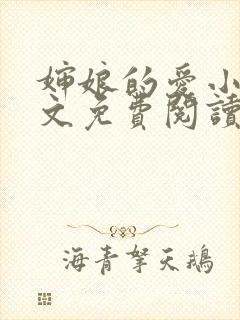 婶娘的爱小说全文免费阅读