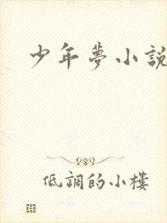 少年梦小说