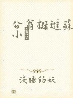 公翁挺进苏玥的小泬