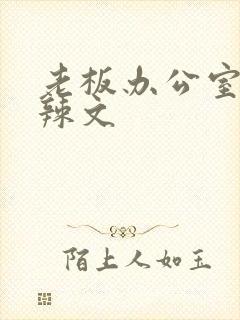 老板办公室系列辣文