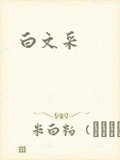 白文采