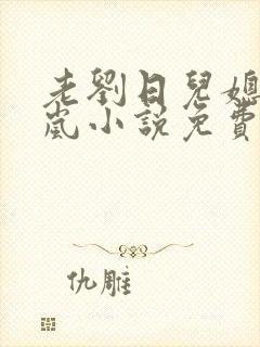 老刘日儿媳妇张岚小说免费阅读