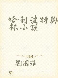 哈利波特与火焰杯小说