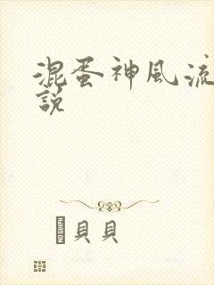混蛋神风流史小说