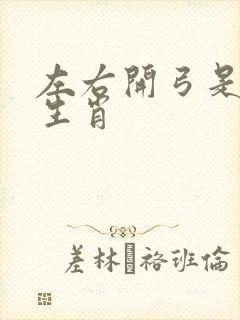 左右开弓是什么生肖