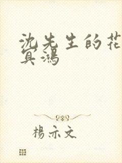 沈先生的花式调冥鸿