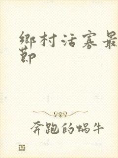 乡村活寡最新章节