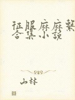 征服麻麻系列大合集小说