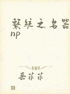 系统之名器攻略np